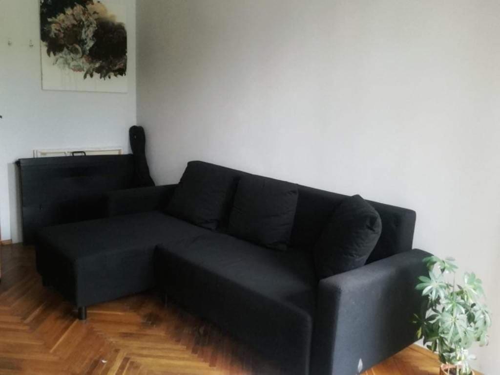 Spacious Apartment 克拉科夫 外观 照片