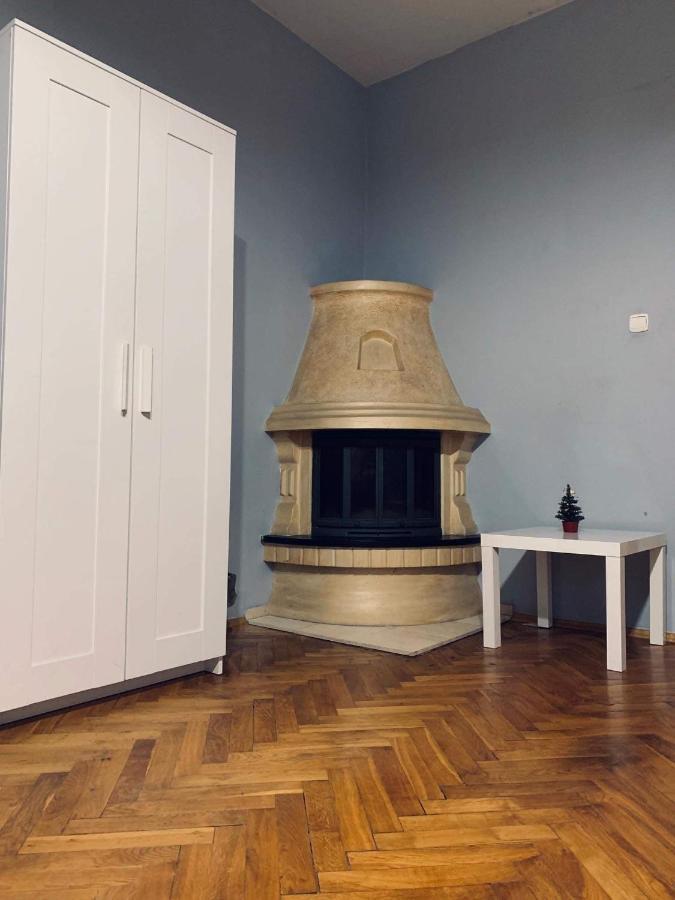 Spacious Apartment 克拉科夫 外观 照片